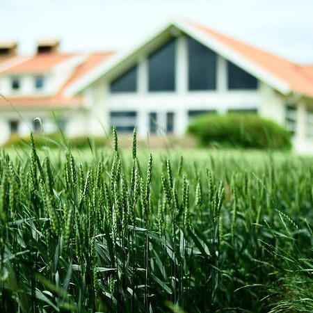 Katrinebergs Folkhoegskola B&B Vessigebro Екстериор снимка
